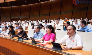 Quang Ninh meets all criteria to become a centrally governed city