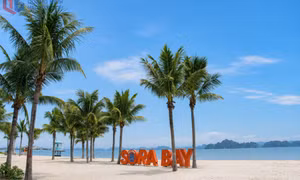 Miss World 2026 contestants to arrive in Quang Ninh on August 8