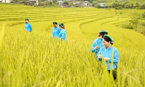Developing community-based tourism in Tien Yen