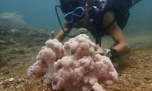 Co To island - a journey back to nature