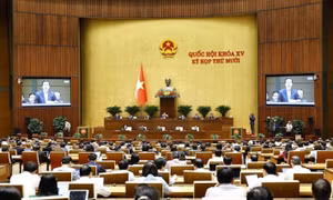 National Assembly to debate six laws, including new e-commerce law