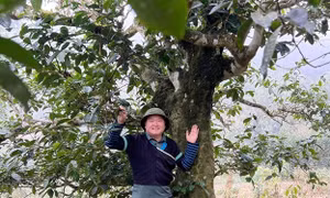 Mông law bachelor turns heritage into a livelihood in the 'Village in the Clouds'