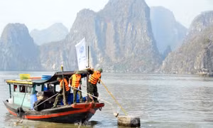 Post-typhoon cleanup campaign in Hạ Long Bay commenced