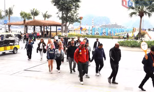 Quang Ninh welcomed nearly 657,000 tourist arrivals during the New Year holiday
