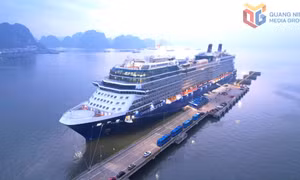 Positive signals from cruise tourism