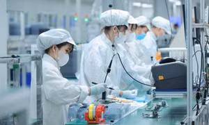 Việt Nam’s semiconductor surge underscores mounting demand for skilled workers