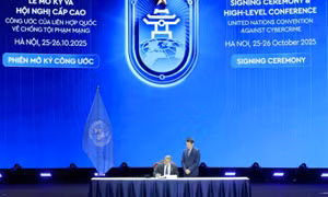 Việt Nam reaffirms role at the United Nations