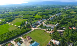 Quang Ninh OCOP Program: Dam Ha forest - raised chicken
