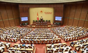 Practical policies needed to ensure social welfare for workers: NA deputies