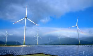 Việt Nam-Japan cooperate towards green growth