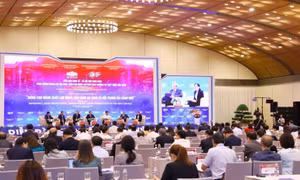 Workers' productivity key to socioeconomic growth: experts