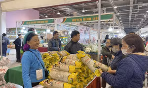 OCOP Fair to open within the framework of a national conference on launching the implementation of Resolution 30