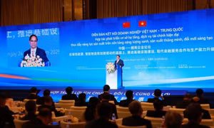 Việt Nam, China strengthen economic ties with new cooperation deals