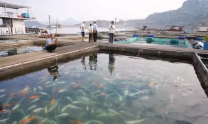 Tourism combined with fishing creates sustainable development