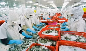 Việt Nam, Russia boost agricultural, aquatic trade ties