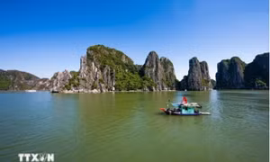 Hạ Long Bay - Cát Bà Archipelago recognised as World Geological Heritage
