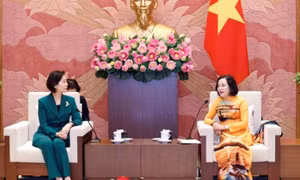 Việt Nam, RoK promote measures boost trade