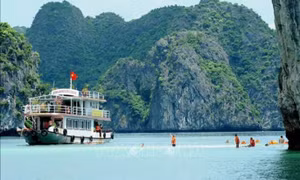 Environmental protection efforts augmented in Hạ Long Bay