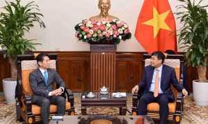 Vietnam considers Japan long-term, important partner: official 