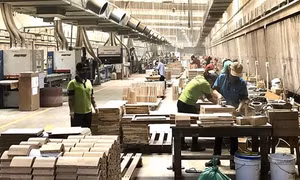 Connecting with FDI firms helps boost wood exports: insiders