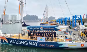 Halong welcomes all Clipper Race yachts