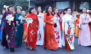 Numerous activities to celebrate International Women’s Day