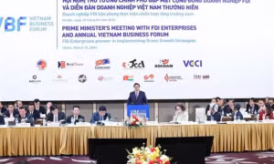 FDI to pioneer in implementing green growth strategies: VBF 2024