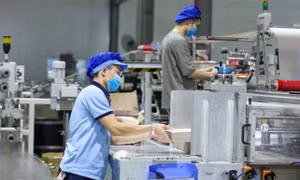 Over 22,100 new businesses established in two months