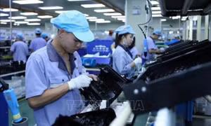 FDI flows in Vietnam forecast to boom this year