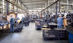 Bright prospects for FDI attraction in 2024