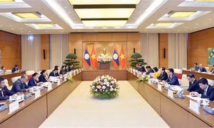Vietnamese, Lao legislatures deepen cooperatives ties
