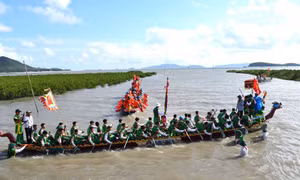 Van Don traditional festival opens