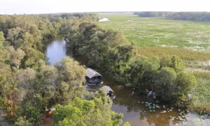 Conservation of wetland habitats contributes to carbon storage