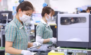 Việt Nam an emerging destination for foreign companies: Swiss daily
