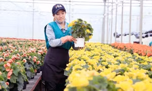 Science, technology, innovation to increase contribution to agricultural growth