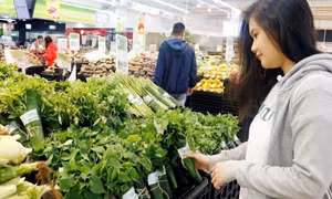 Retailers to be fined if providing single-use plastic bags to consumers from 2026