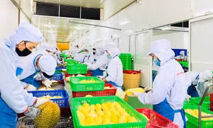 RCEP: New opportunities with familiar partners