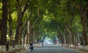 Hanoi among world's 25 most popular tourist destinations in 2023: Tripadvisor