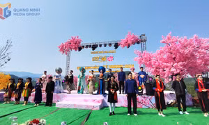Impressive Cherry Blossom Festival - Ky Thuong 2025