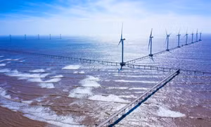 Việt Nam's carbon market: powering green growth and unlocking sustainable investment