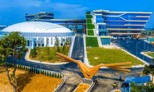 Digital transformation opens up new collaboration opportunities for Japan and Việt Nam