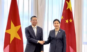 Việt Nam, China to enhance judicial, law enforcement cooperation