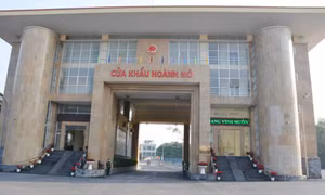 Digital technology promoted at Hoanh Mo border gate