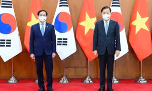 Vietnam, RoK Foreign Ministers talk ways to advance partnership