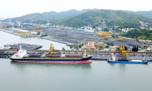 First tonne of coal exported on first day of Lunar New Year