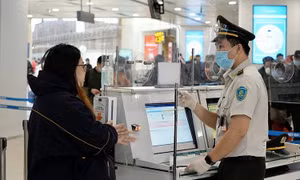 Aviation and tourism activities to restore quickly