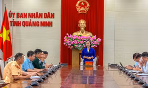 Ha Long Bay - Lan Ha Bay tourism route opens from April 1
