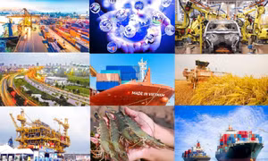 Viet Nam likely to be fastest-growing economy in ASEAN this year: HSBC