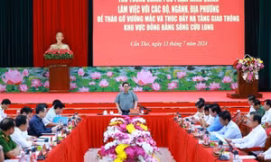 Making all efforts to complete Mekong Delta's expressways ahead of schedule: PM