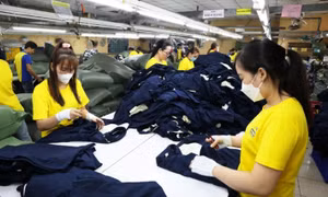 Việt Nam prepares for regional minimum wage increase to improve workers' livelihoods